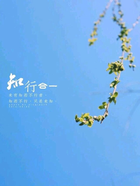 ”又因为打游戏和刷视频喝酒破了