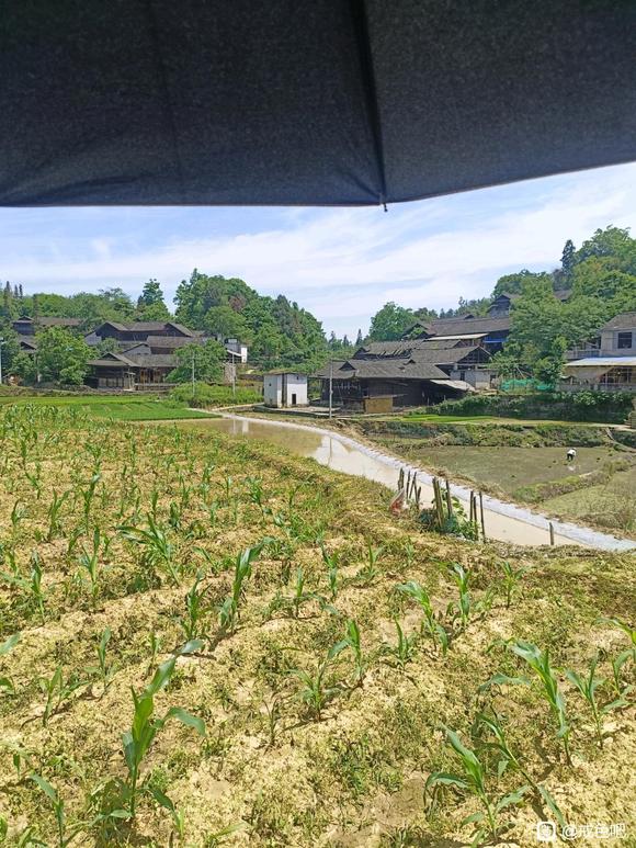 ”#微信看病卖药是假的#第二天戒色，戒油子