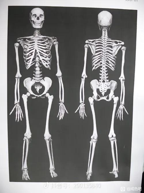 ”戒色十二天失败，打卡