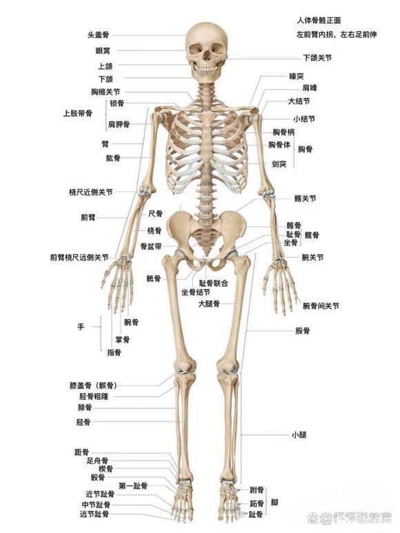 ”早上读慧剑斩魔的文章读到一句话