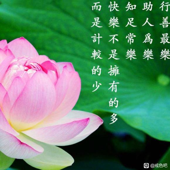 ”2024年中秋节快乐（一起加油共勉）