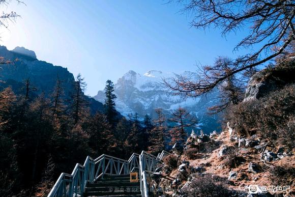 ”【问题求助】戒色第29天