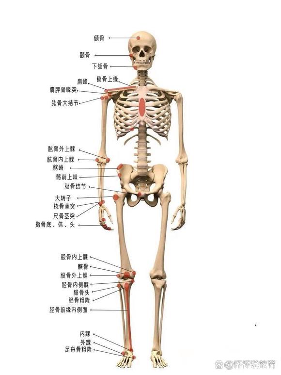 ”新戒友提问，本人23重来没有过手艺