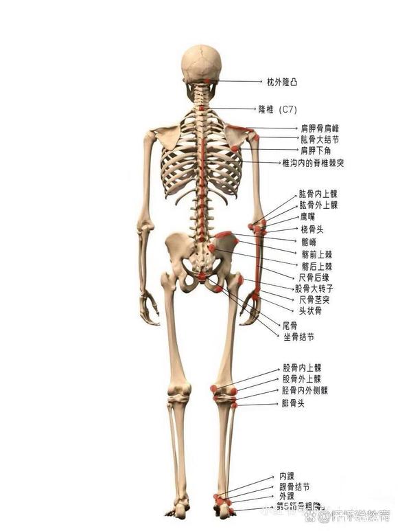 ”新戒友提问，本人23重来没有过手艺