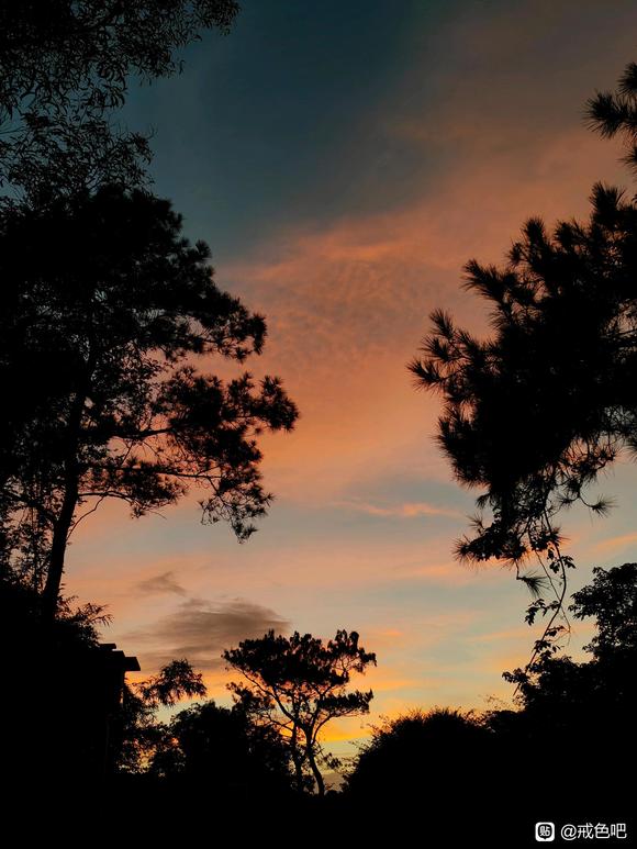 ”#微信看病卖药是假的#记录一下，