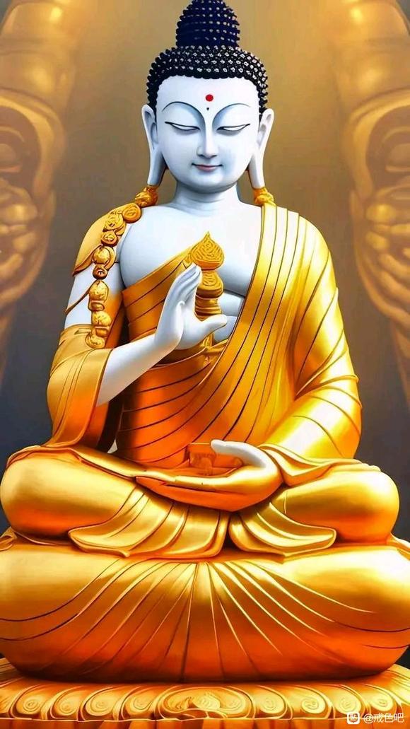 ”频遗到底怎么才能少点次数。求解