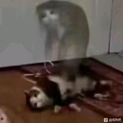 ”唉，，，，，