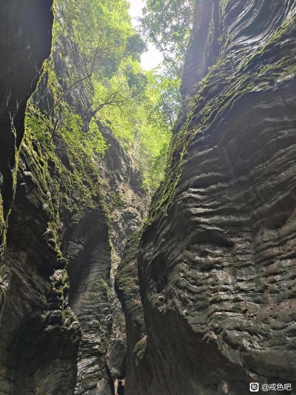 ”#微信看病卖药是假的#第七天，一周了