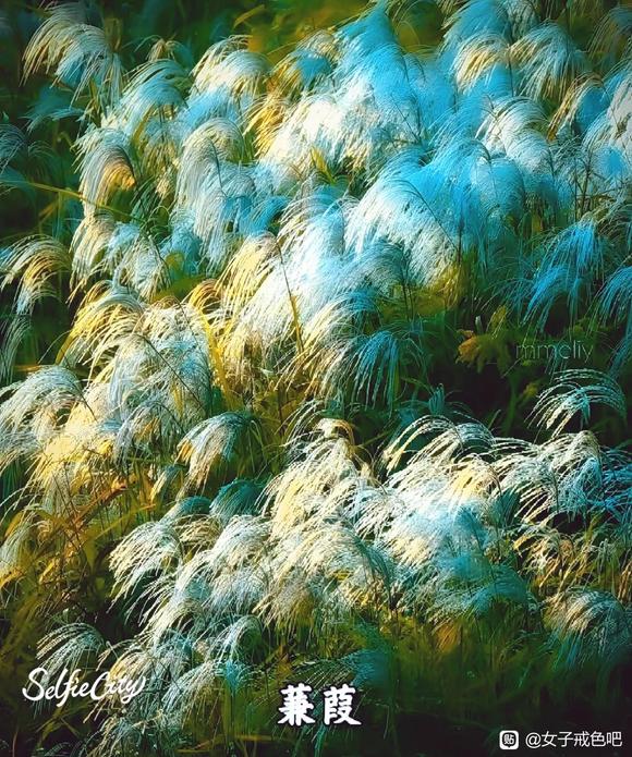 ”寻求心灵的快意