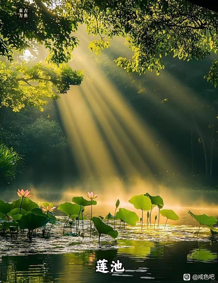 ”分享：人生五章☘️