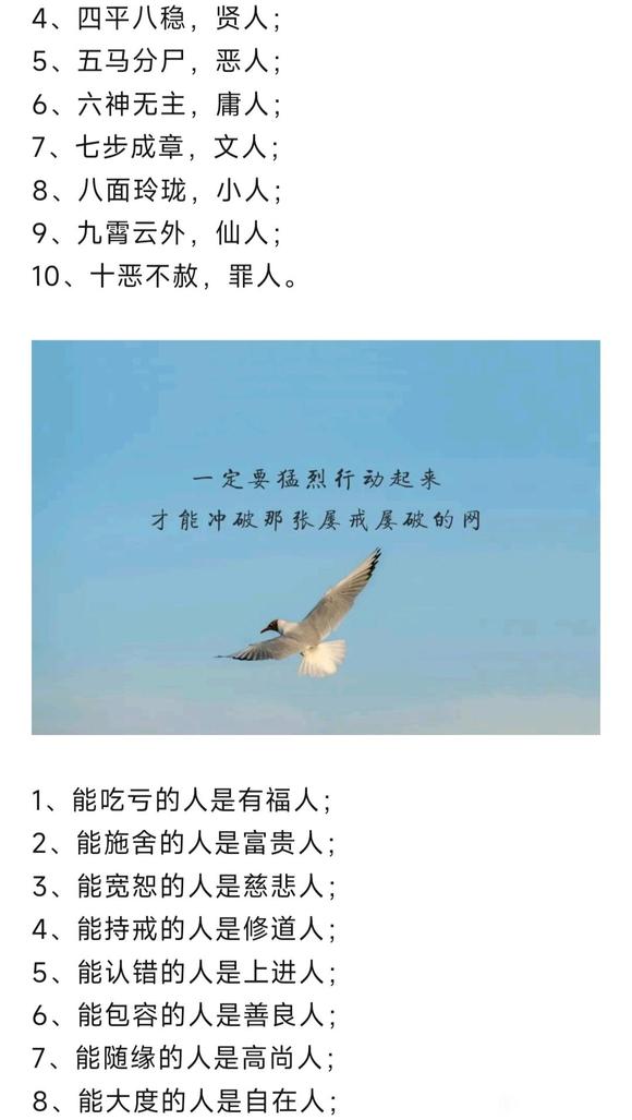 ”近一年的时间,如梦一般的变化