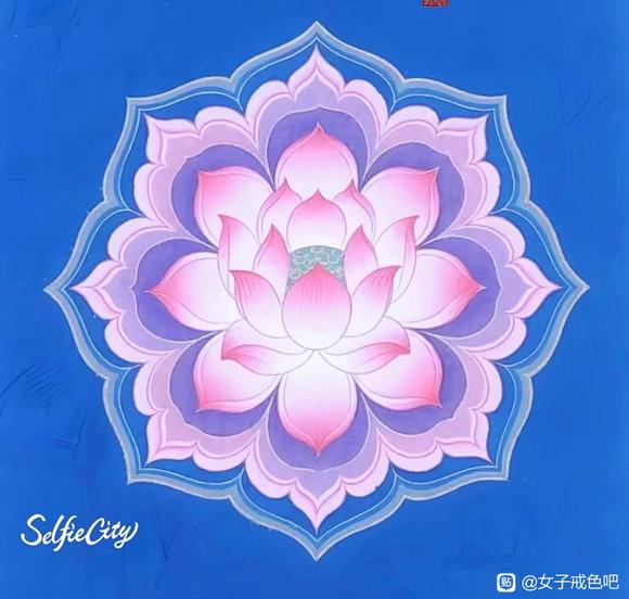 ”你真诚的底色，永远是最珍贵的星星