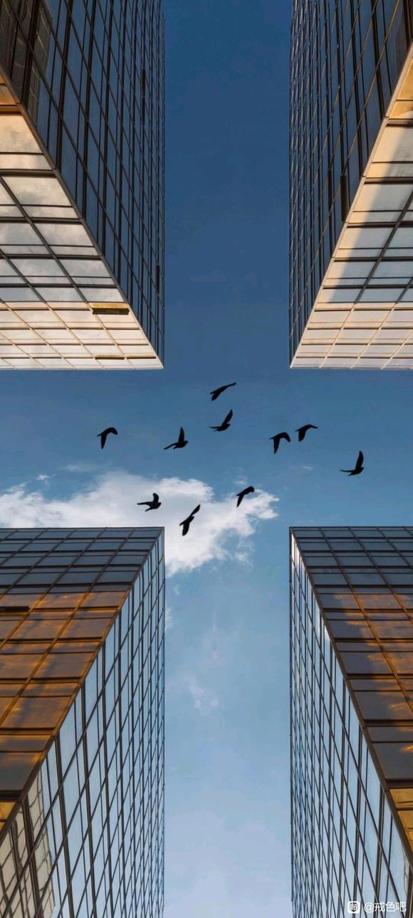 ”幻想色是黄吗