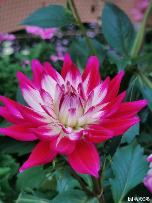 ”一个痛改前非的人