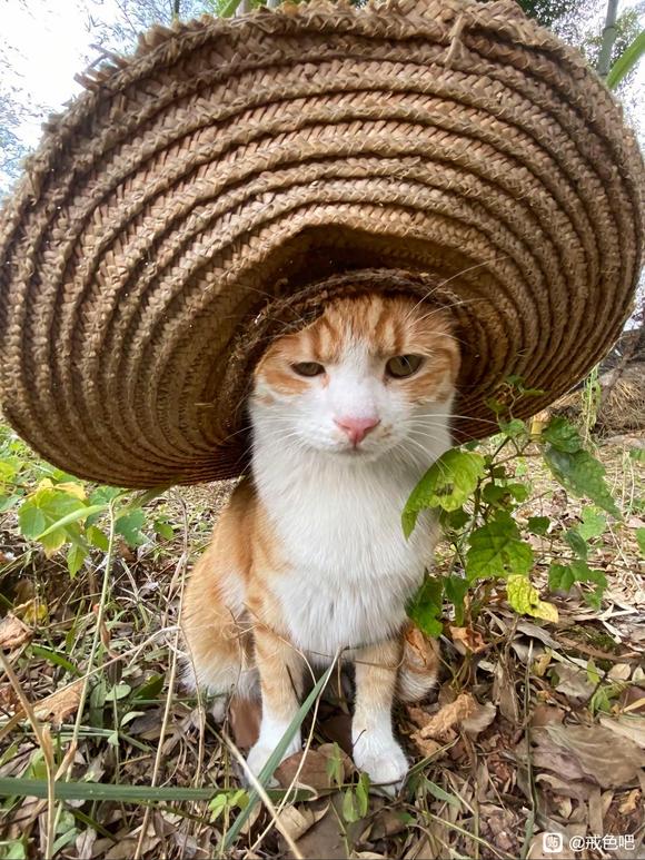 ”【成长记录】戒第二十二天！