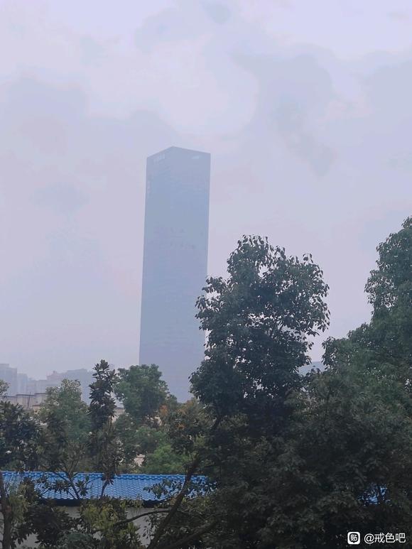 ”#微信看病卖药是假的#戒色第11天