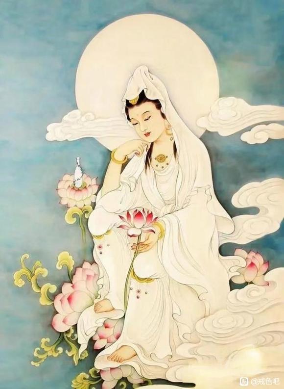 ”戒油子签到帖