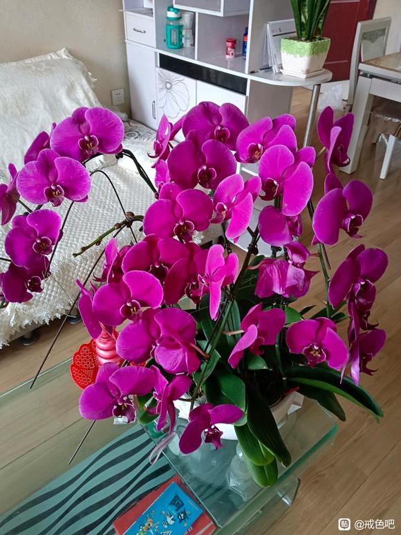 ”其实意淫比手淫更伤肾！