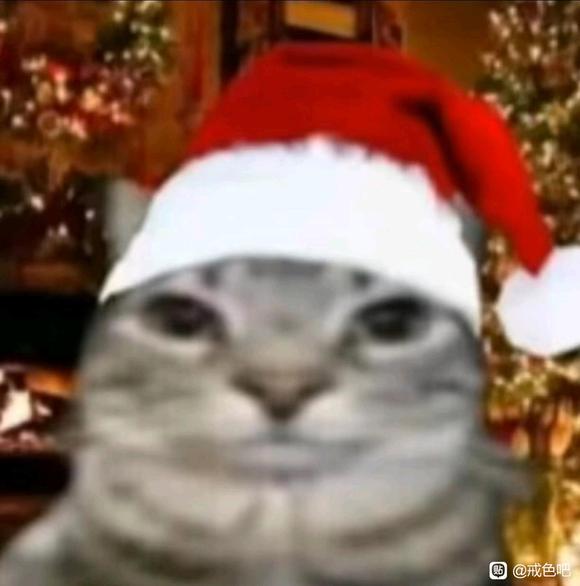 ”戒掉sy有多好