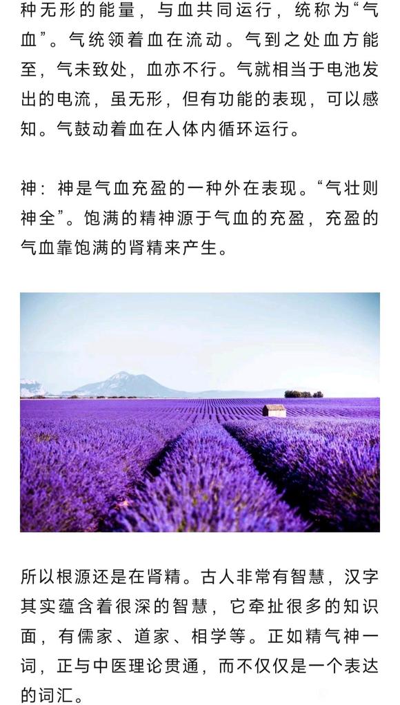 ”肾是人体的电池，那你的电量还有多少？