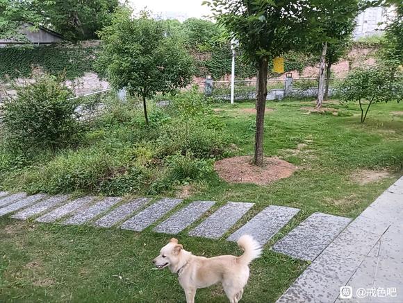 ”救急！来个人陪我聊天