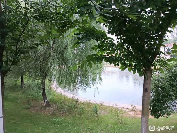 ”救急！来个人陪我聊天