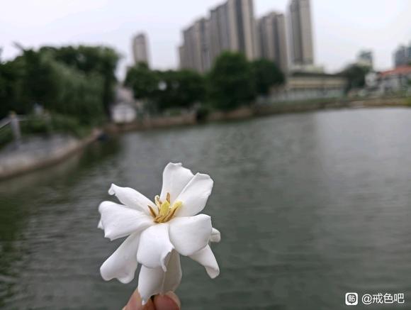 ”救急！来个人陪我聊天