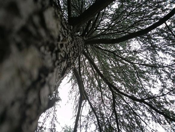 ”救急！来个人陪我聊天