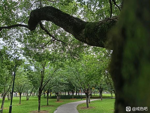 ”救急！来个人陪我聊天