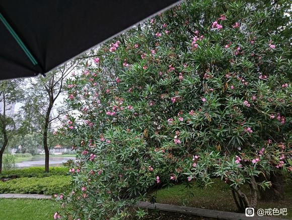 ”救急！来个人陪我聊天