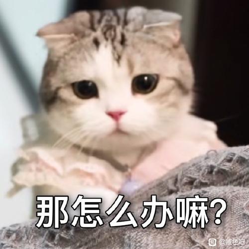 ”兄弟们，你们洗完脸给脸上抹油吗？