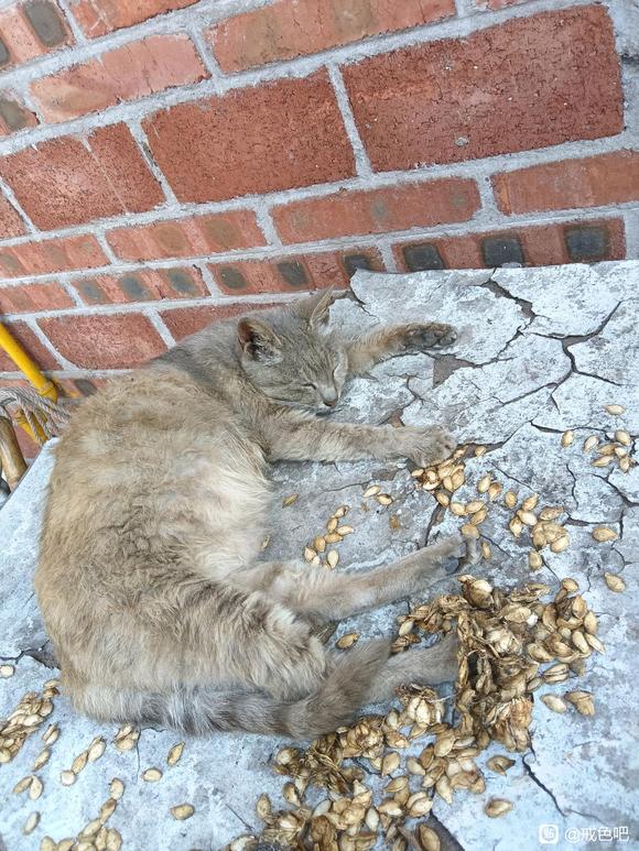 ”我身边的人，都认为我是怪人