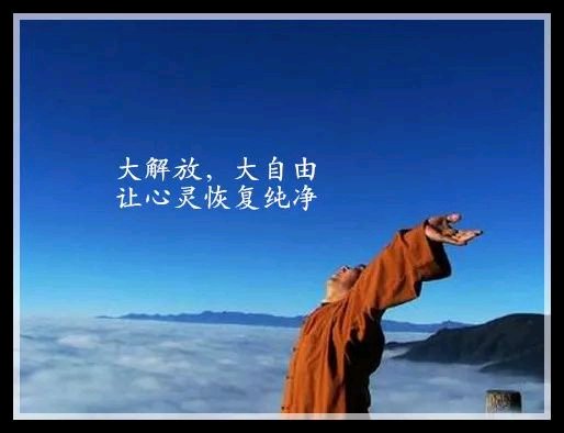 ”第81天归零了