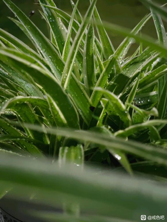 ”戒色100多天了，说说我的感悟