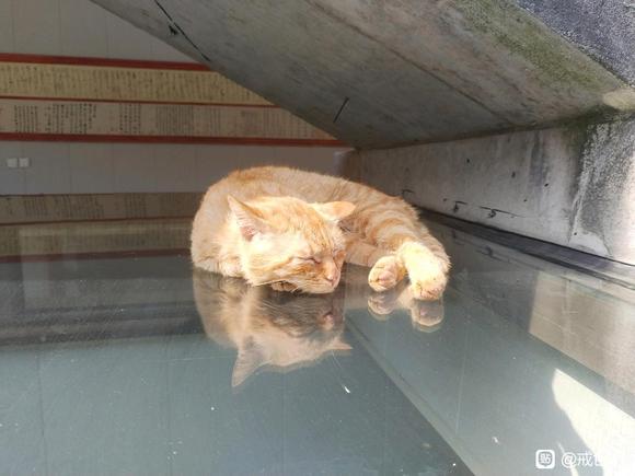 ”戒色会有戒断反应吗？