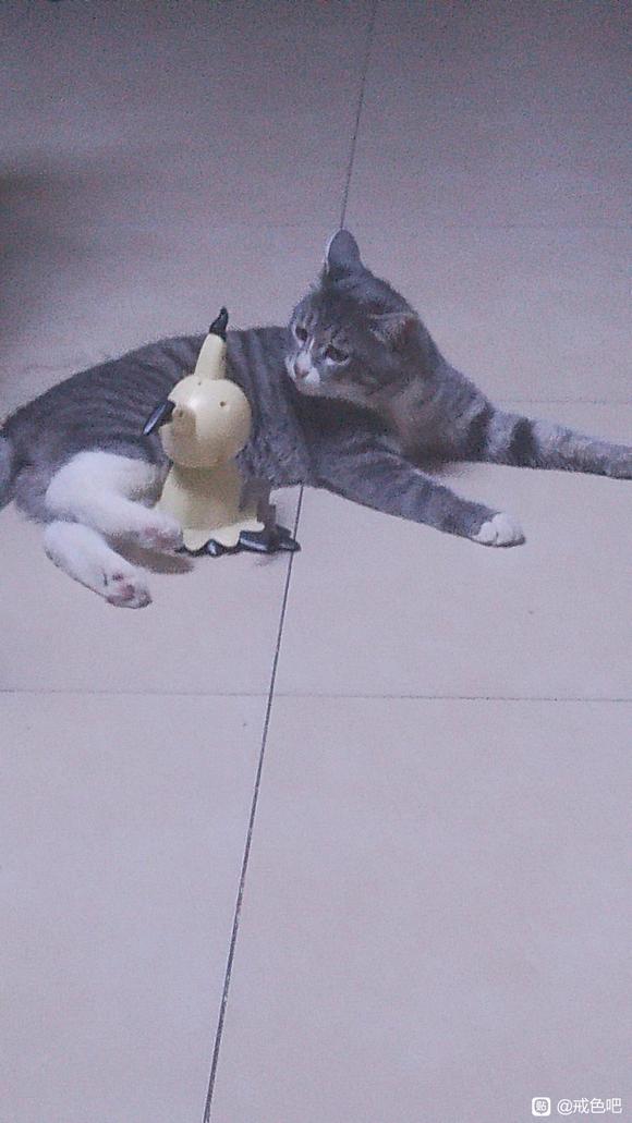 ”百日筑基丨每日打卡楼#觉悟#