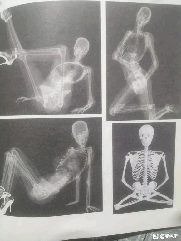 ”若是被皮囊迷惑，可进来看清楚