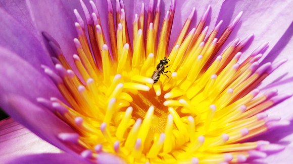 ”本人曾碰见过“鬼交”现象少女，夜里做梦老是出现一个男的和她爱