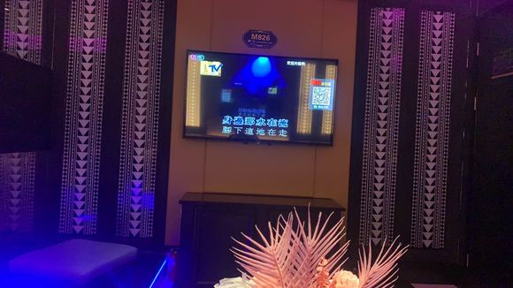 ”戒色以后的纯净生活！