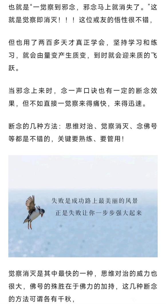 ”冲动上来时，我问自己，你还想悔恨吗？