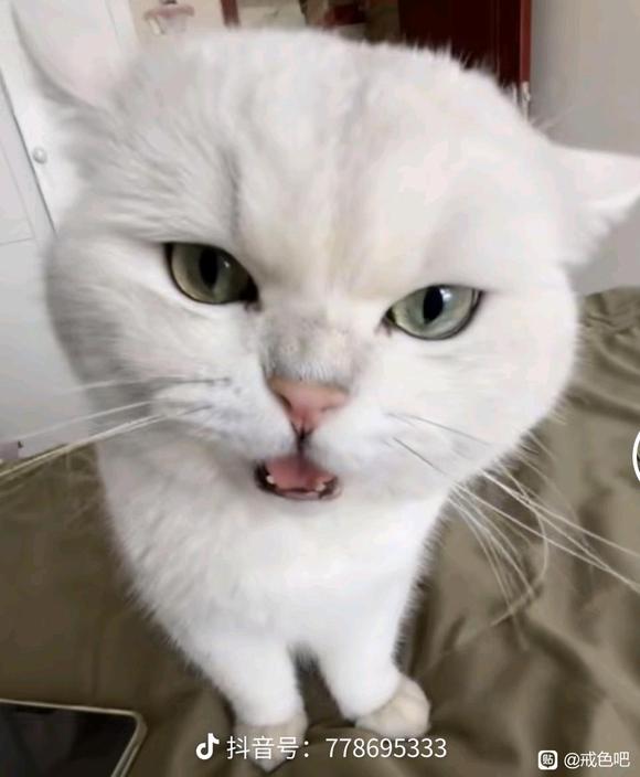 ”打卡第二十八天，情绪状态不佳